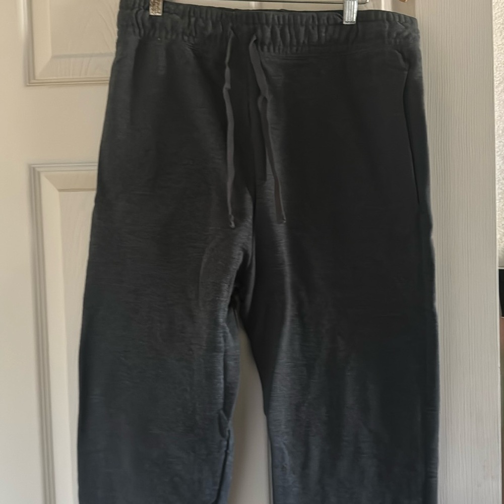 Hanes mens Ecosmart Jogger Sweatpants, Men's Midweight Fleece Lounge Pants, 30.5